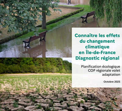 La vulnérabilité climatique de l'Île-de-France révélée en cartes